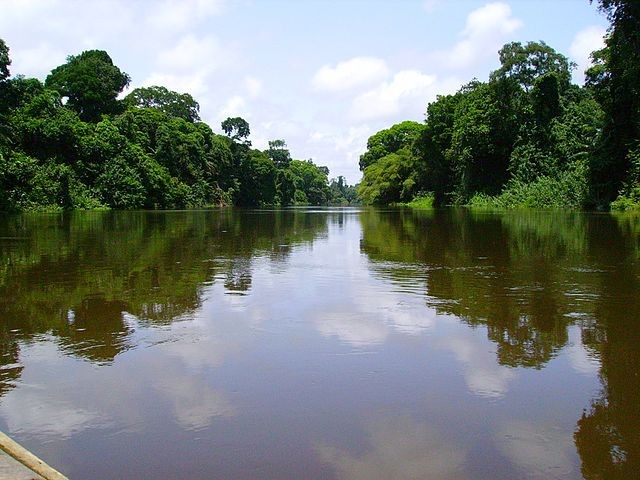 Nyong_river_Cameroonmj.jpg